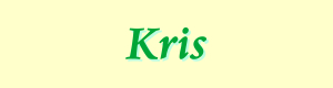 Kris professional fitness trainer name